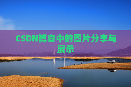 CSDN博客中的图片分享与展示